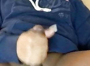 BBW Shemale Cums All Over Hoodie