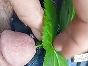 Ayah, Vagina (Pussy), Amatir, Anal, Blowjob (seks dengan mengisap penis), Cumshot (keluarnya sperma), Homo, Handjob (seks dengan tangan wanita pada penis laki-laki, Kotor, Seorang diri