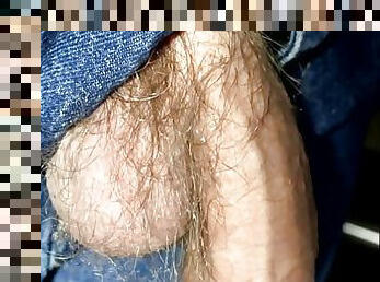 Veiny Cock hangs out of Jeans Close Up