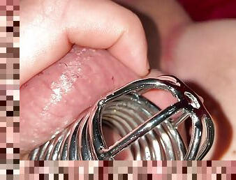 Chastity cock and anal plug