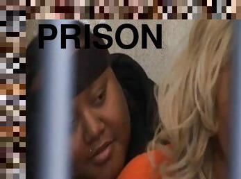 Mary carey goes to jail