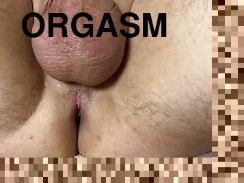 orgasm, anal, cumshot, leksak, avrunkning, massage, sprut, femdom