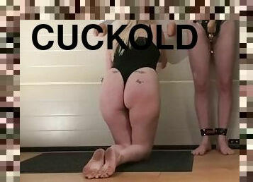 Cuckold Chastity Blowbang Fantasy