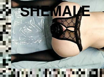 shemale, amatör, anal, leksak, hardcore, creampie, bdsm, underkläder, ensam