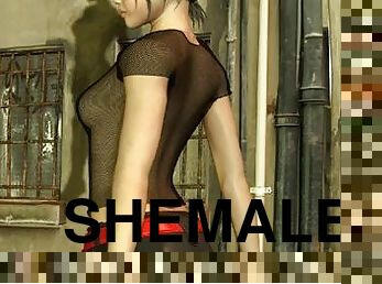 3d shemale again for the party