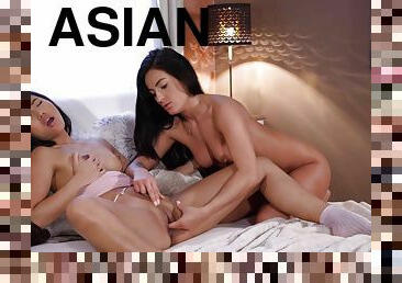 asiatisk, fitta-pussy, brudar, lesbisk, fingerknull, thailändsk, flickvän, sovrum, vacker, oral