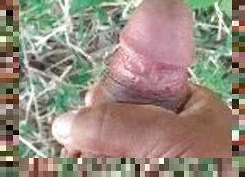 masturbation in the forest-lsantosofc
