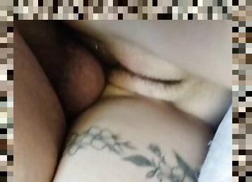 fitta-pussy, brudar, cumshot, tonåring, hardcore, creampie, college, rakad, vit, vått