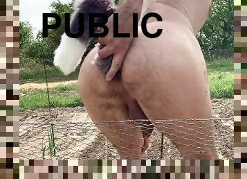 publiczne, anal, hentai, dupa, ogród