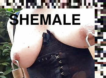 shemale, anal, zabawka, bdsm, niewolnicy, napalona, solo, małe-cycki