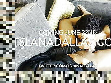 Tslanadallas.com