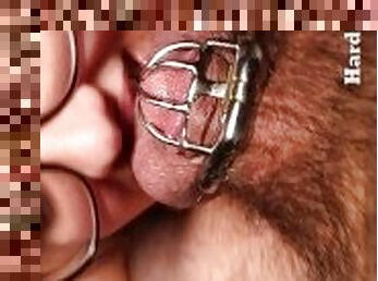 Micro Chastity Cage Blow Job Making His Blue Balls Throb Tease & Denial