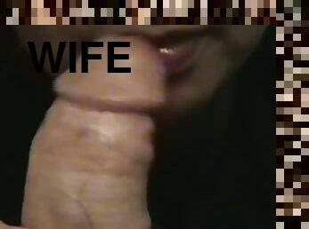 wife sucking me good