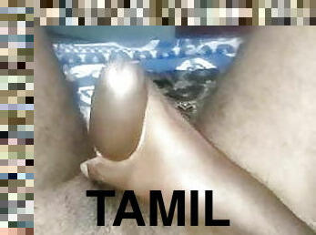 tamil guy dick shaking in room