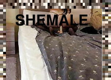 shemale, anal, ritt, dildo