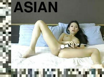 asia fox--04-??????????wx?3047907356