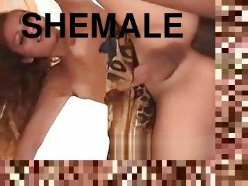 doggy-style, shemale, avsugning, transa