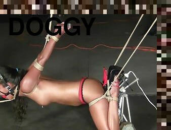 Drea Frogged Strappado Doggy pt 2