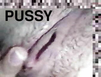 fitta-pussy