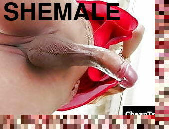 besar-huge, mastubasi, waria-shemale, anal, penis-besar, waria, penis