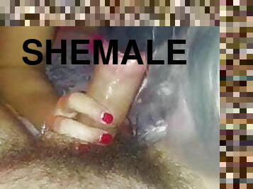 shemale, avsugning, ladyboy, pov, ung18, vacker, perfekt, kuk