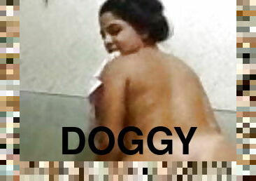 doggy, geci