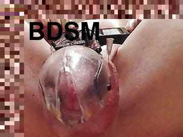 хомосексуалисти, bdsm, топки