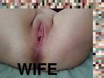 Curvy wife