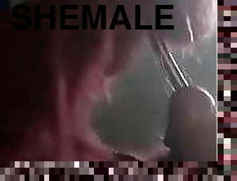 shemale, bdsm