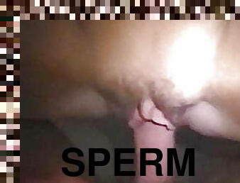 sperm, sperm-sperm