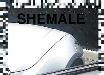 shemale, amatör, hemmagjord, slyna