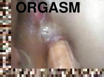 orgasmo, coño-pussy, squirting, anal, paja