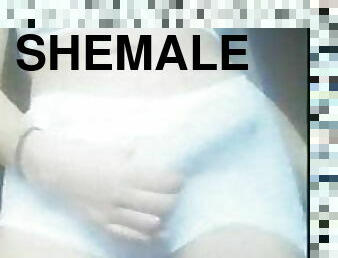 Horny Shemale 133