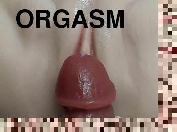 clitoris, orgasmi, pillu-pussy, pilluuntulo, vagina