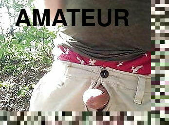 masturbation, en-plein-air, public, amateur, énorme-bite, gay, branlette, secousses, point-de-vue, ejaculation