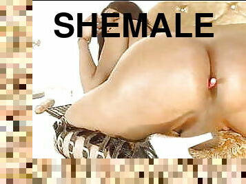 Shemale Hardcore Sex 40