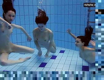 Three Hot Bitches Naked In The Pool