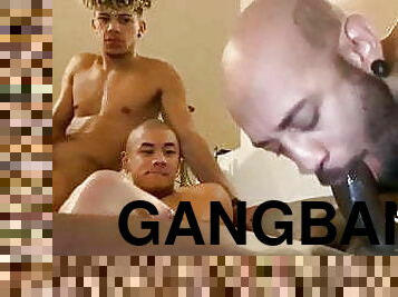 orgie, gay, gangbang, sesso-di-gruppo