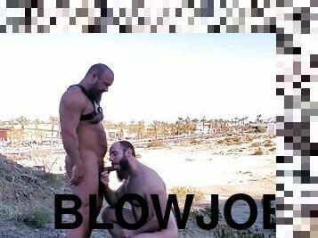 pappa, amatör, avsugning, cumshot, gigantisk-kuk, gay, knullande, farsan, björn, kuk