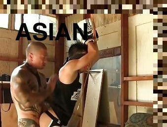 asiatique, anal, fellation, énorme-bite, jouet, gay, fellation-profonde, bdsm, bondage, tatouage