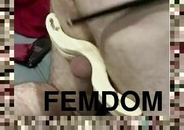 amatör, bdsm, fetisch, femdom