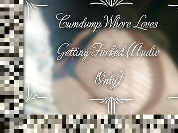 Cumdump Whore Loves Getting Fucked (Audio Only)