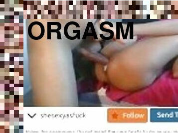 orgasmi, fichette, amatoriali, rapporti-anali, spruzzi-di-sperma, sadismo-e-masochismo, sperma, webcam, corde-cinghia-sadomaso