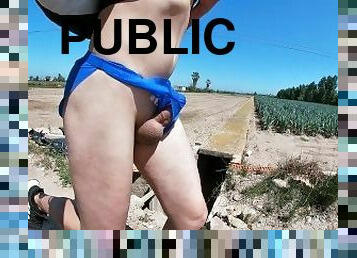 publik, kamera, voyeur, kåt, ritt, exhibitionist, kuk, blottande