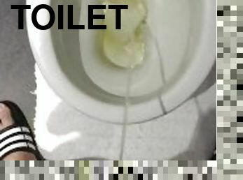 tissende, bøsse, toilet, fetish, solo