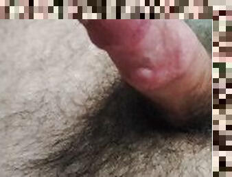 hårig, masturbation, cumshot, gigantisk-kuk, gay, knubbig, sprut, ensam, björn, kuk