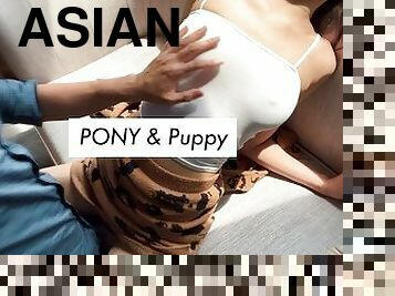 ???????? Pony???????????