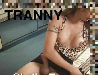 transexual-tranny, locura