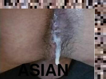 White bear breeds asian bottom