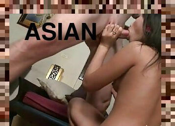 asiatisk, storatuttar, thailändsk